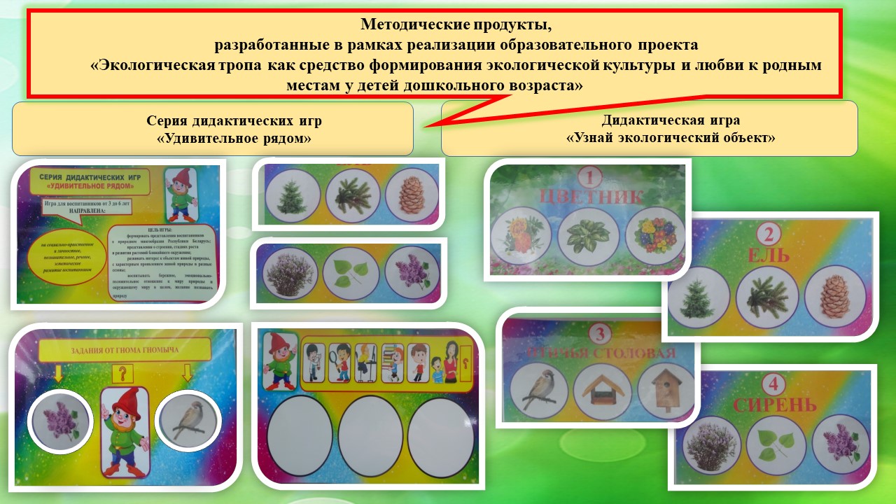 Играя, любовь к природе родного края прививаем! - Архив новостей - Детский  сад №67 г. Витебска